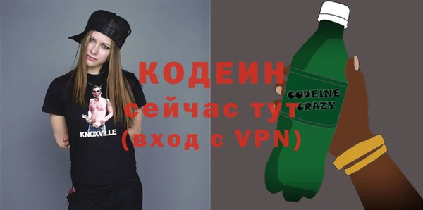 прущие грибы Осташков