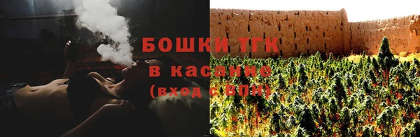 прущие грибы Осташков