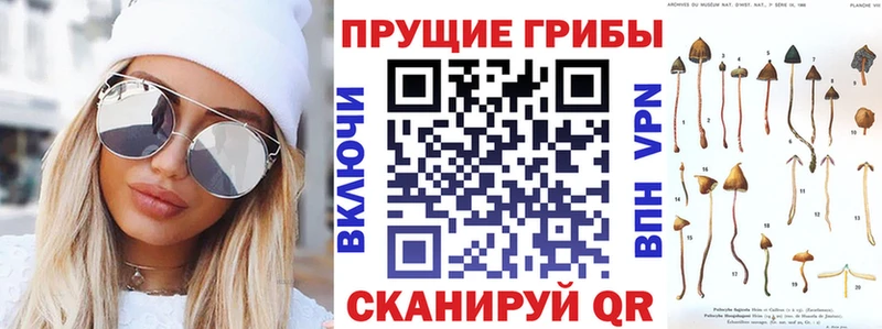 Галлюциногенные грибы Magic Shrooms  Купить где  Черняховск 