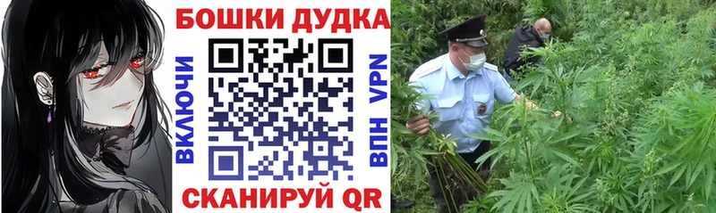 МАРИХУАНА Amnesia Черняховск